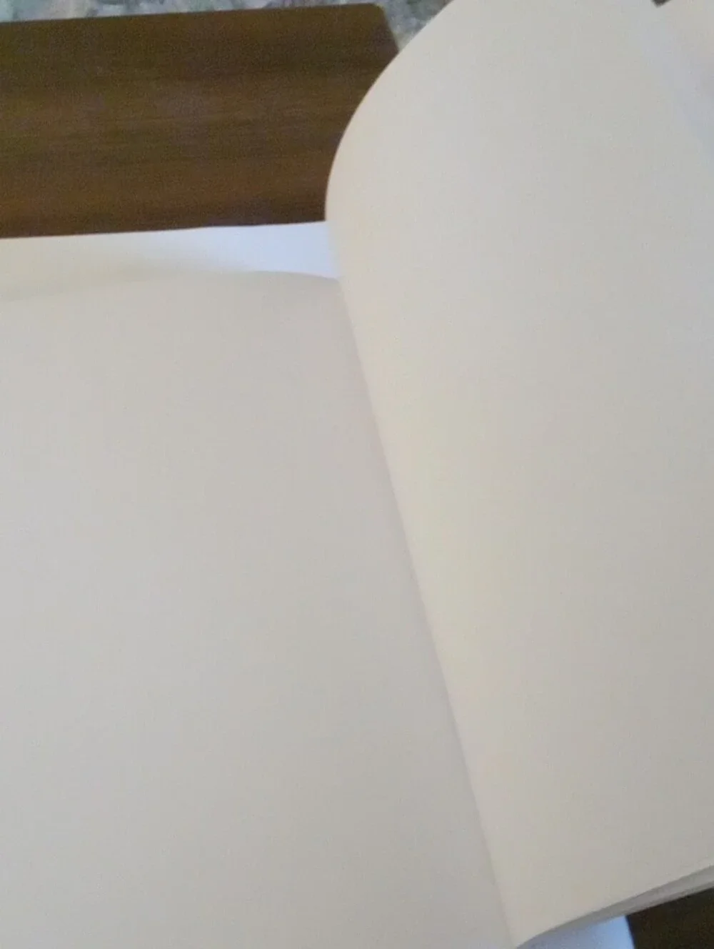 Adopt A Demodog Graphic Notebook - Blank